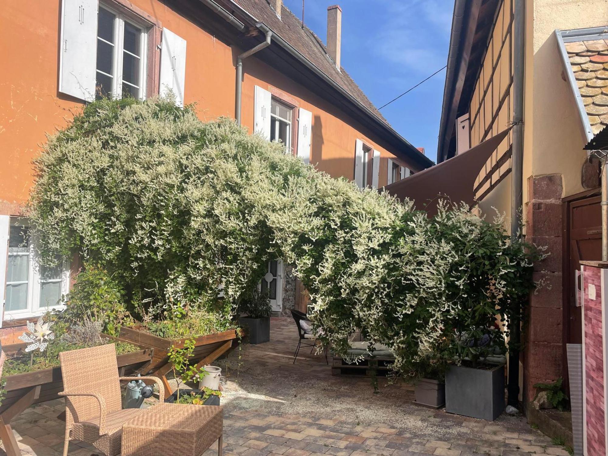 Caveau 1751 Niedermorschwihr Exterior photo